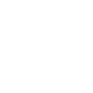 ico_gestion_aduanera