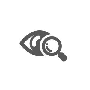 icon_vision